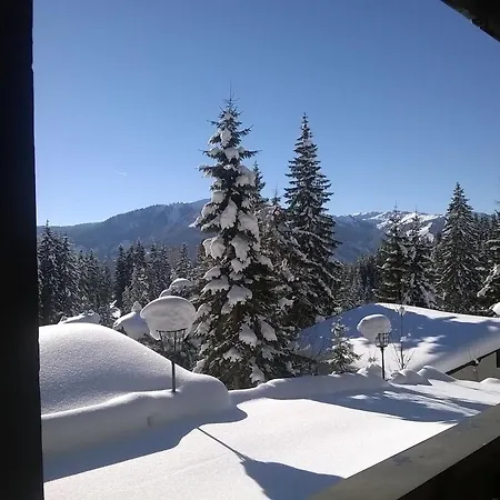 Hochkoenig 6 - In-out Διαμέρισμα Mühlbach am Hochkönig
